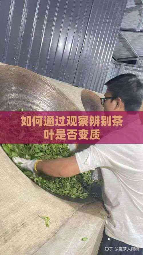 如何通过观察辨别茶叶是否变质