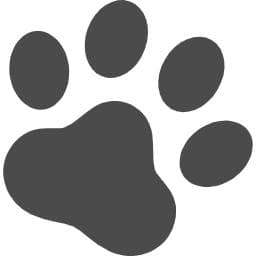 「となる」的用法与「になる」的区别【例句详解 日语语法】