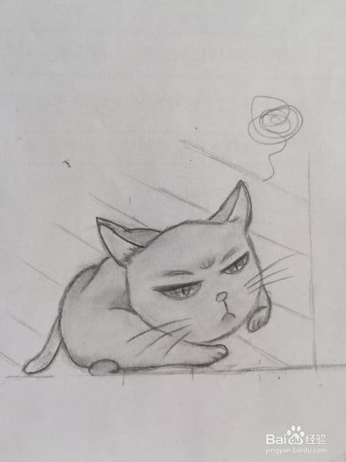 萌宠绘画教程：从零开始画出可爱猫咪