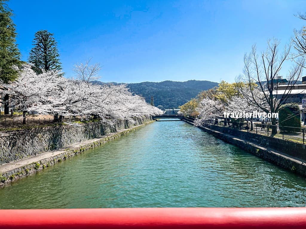 京都蹴上倾斜铁道：2025年赏樱必去的粉红铁道秘境