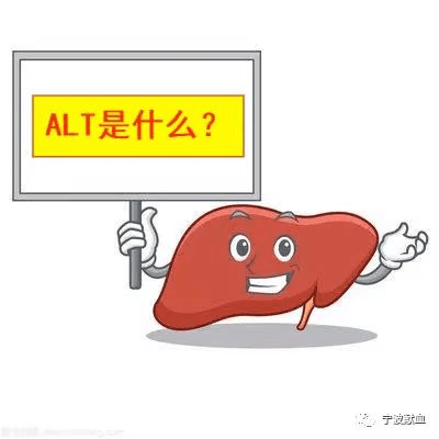 肝功能正常？看懂ALT才靠谱！
