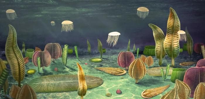 南京大学最新Science论文，利用AI揭示地球复杂生命早期演化奥秘