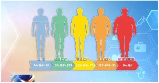 国家卫健委发布新版体重管理指南：科学解读BMI、辟谣减肥误区