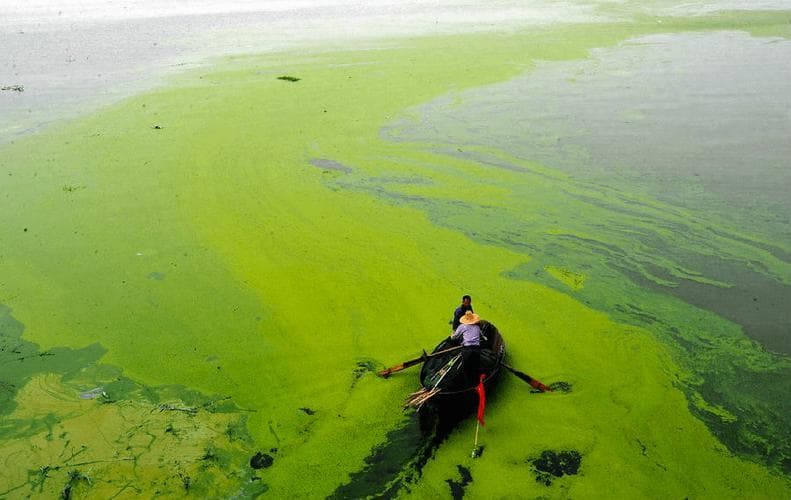 污水除磷药剂还搞不清楚？看这篇文章就够了！
