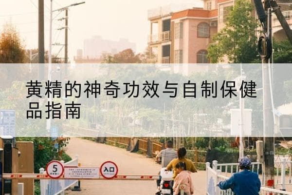 黄精的神奇功效与自制保健品指南