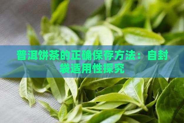 普洱饼茶的正确保存方法：自封袋适用性探究