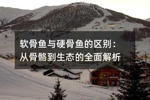 软骨鱼与硬骨鱼的区别：从骨骼到生态的全面解析
