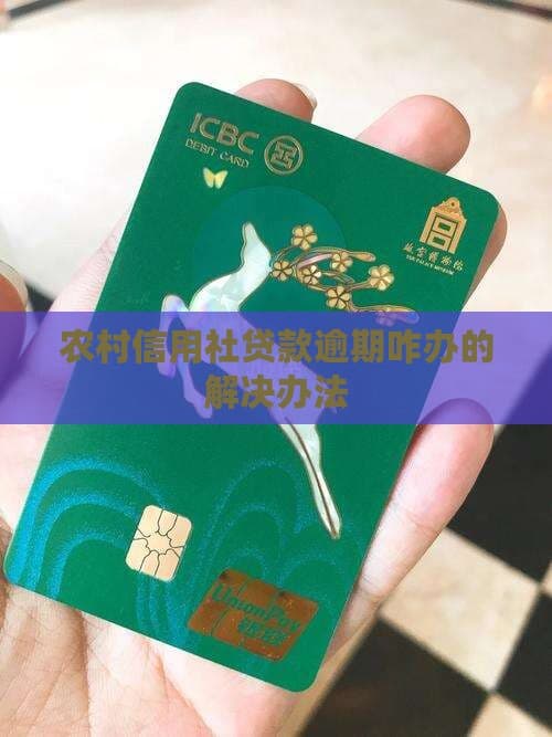农村信用社贷款逾期怎么办？全面解析逾期处理与信用修复方案