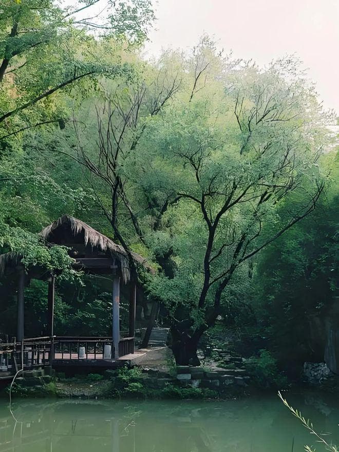 清凉一“夏” 来场避暑之旅