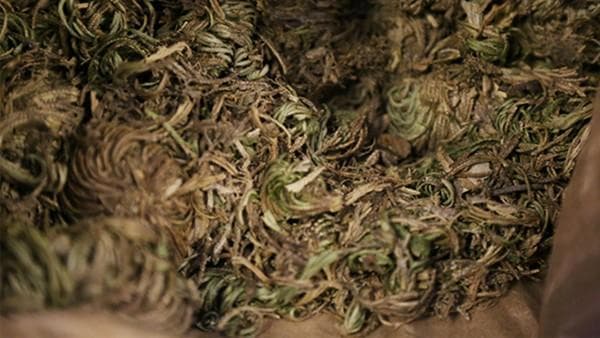 蒙脱石散效果怎么样 蒙脱石散是哪类药物