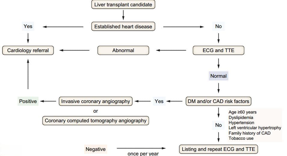 时隔8年更新，2024 EASL临床实践指南：肝移植评估要点一览！
