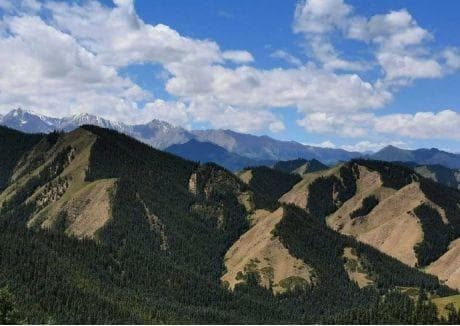 微专题：坡向（阳坡vs阴坡，背风坡vs迎风坡）