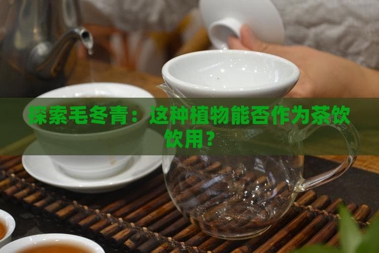 探索毛冬青：这种植物能否作为茶饮饮用？