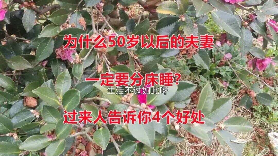 为什么50岁以后的夫妻一定要分床睡？过来人告诉你4个好处