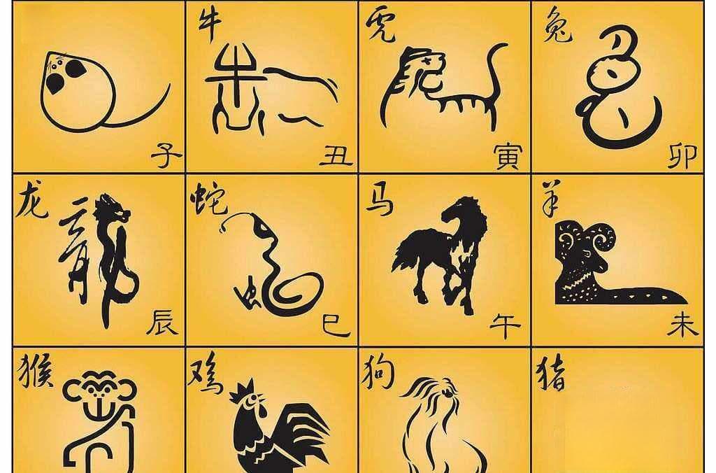 生肖猪：最合不来的三大生肖，与之格格不入，尽量远离