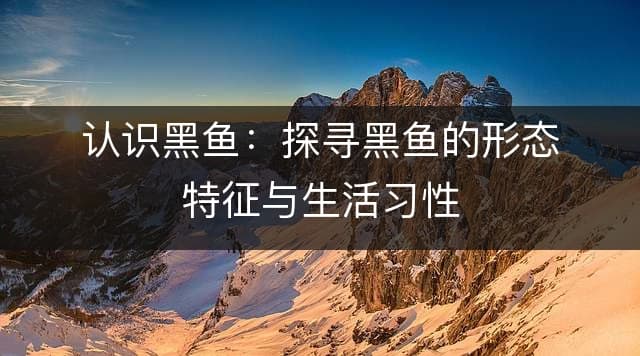 认识黑鱼：探寻黑鱼的形态特征与生活习性