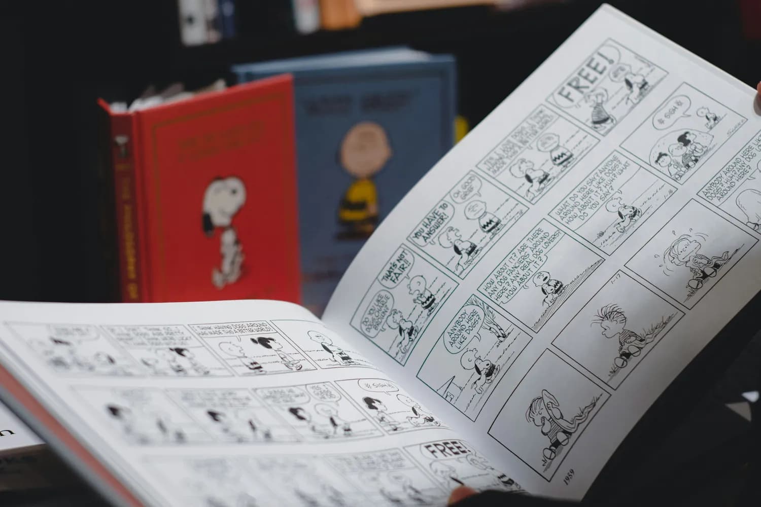 猫小乐揭秘《阿衰》创作灵感：从生活观察到漫画经典