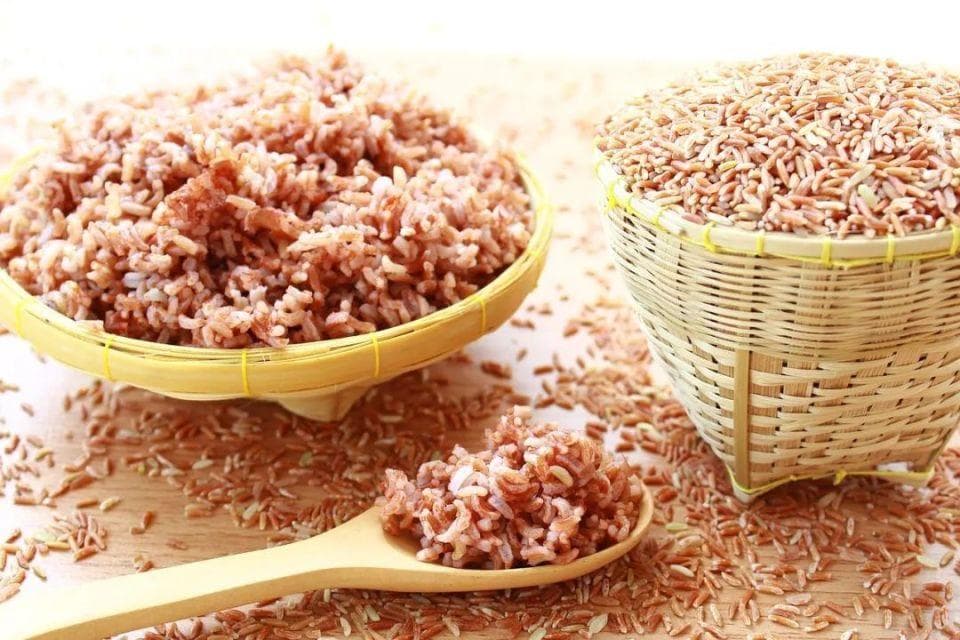 【科普营养】445种常见食物GI大全，快收藏——食物升糖排行榜！
