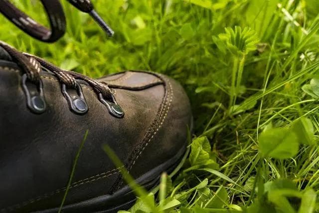 梦见爬山的象征意义：从周公解梦到心理学解读