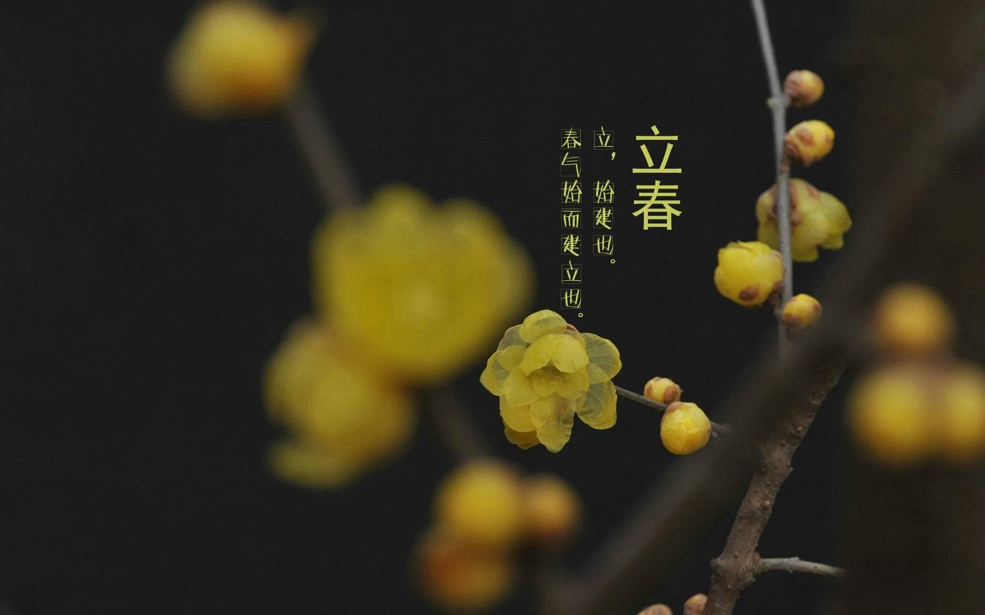 带你认识二十四节气
