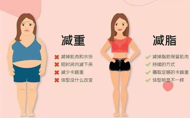 为什么减肥要关注体脂率而非体重？减脂，如何尽可能避免肌肉流失