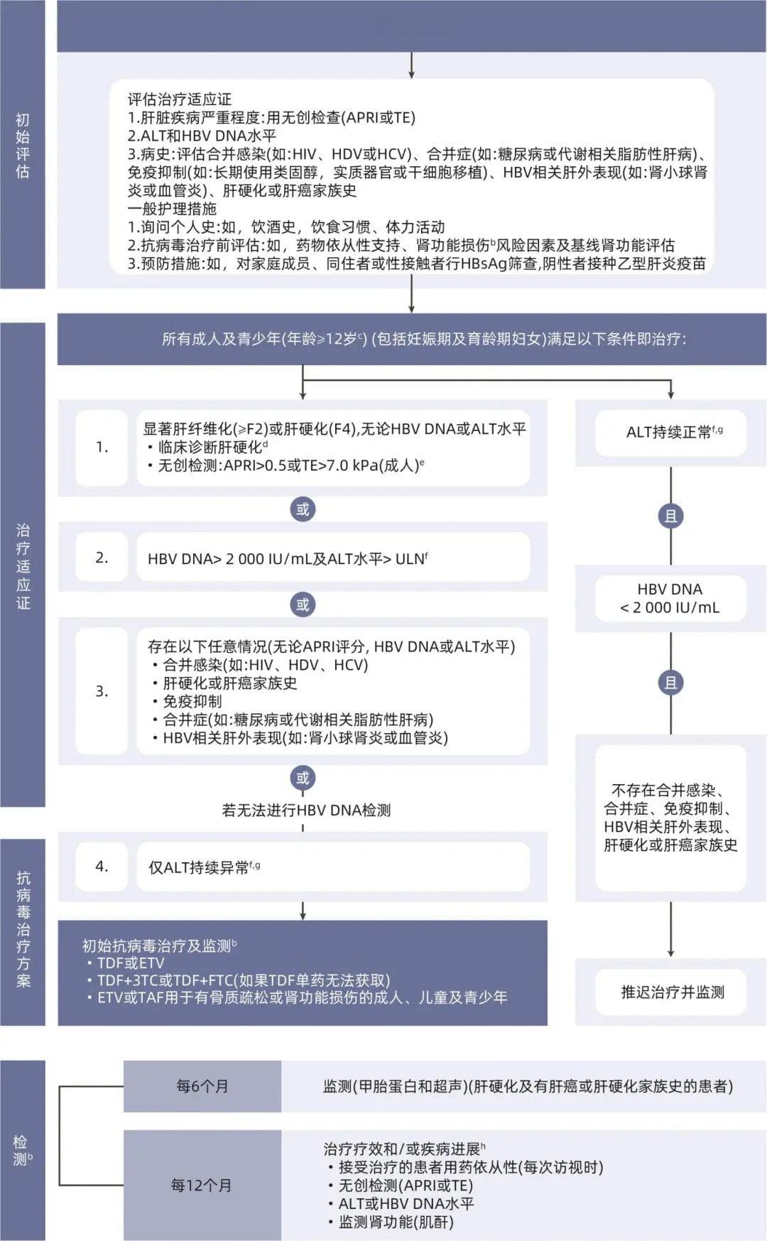 世界卫生组织发布2024年慢性乙型肝炎治疗指南：扩大治疗范围，优化治疗方案