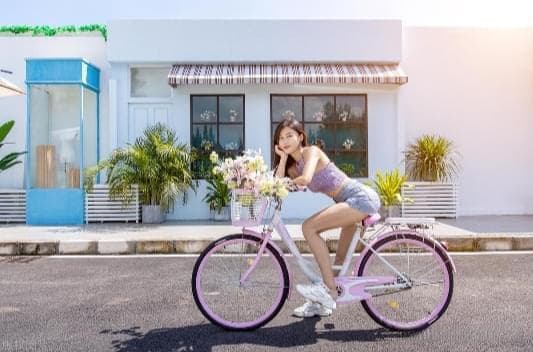 道与术：探索理念与实践的辩证关系
