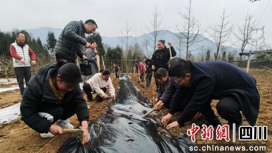 绵阳北川：开展科学农耕 共建和美乡村