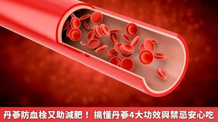 丹参防血栓又助减肥！搞懂丹参4大功效与禁忌安心吃