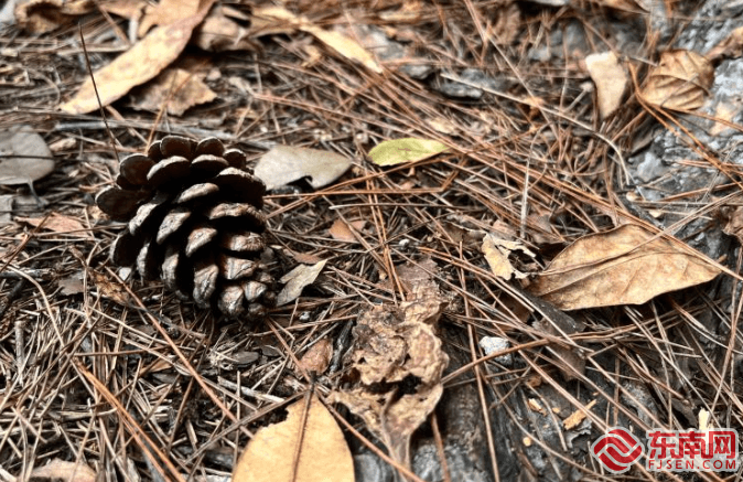 今秋新玩法！你"捡秋"了吗？