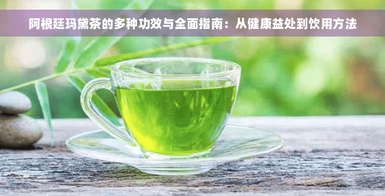 阿根廷马黛茶的多种功效与全面指南：从健康益处到饮用方法