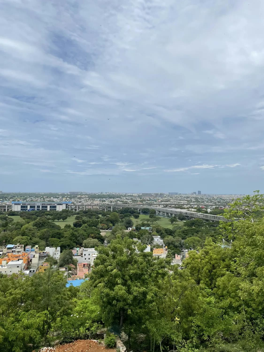 春节打卡：鼓浪屿与环岛路的绝美风景