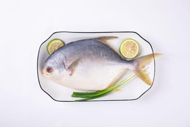 深海鱼油，是不是智商税？