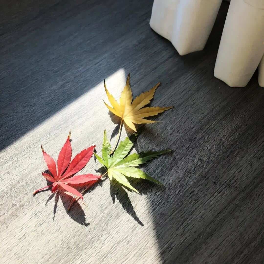 爱的前提是尊重