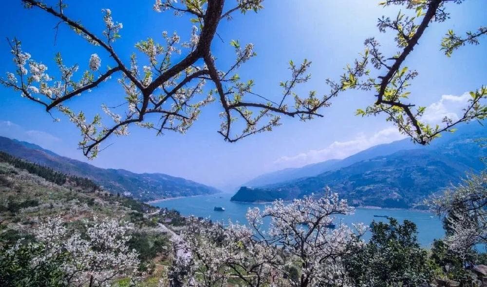 春季踏青赏花地图！十条精品路线出炉，承包你的浪漫花季