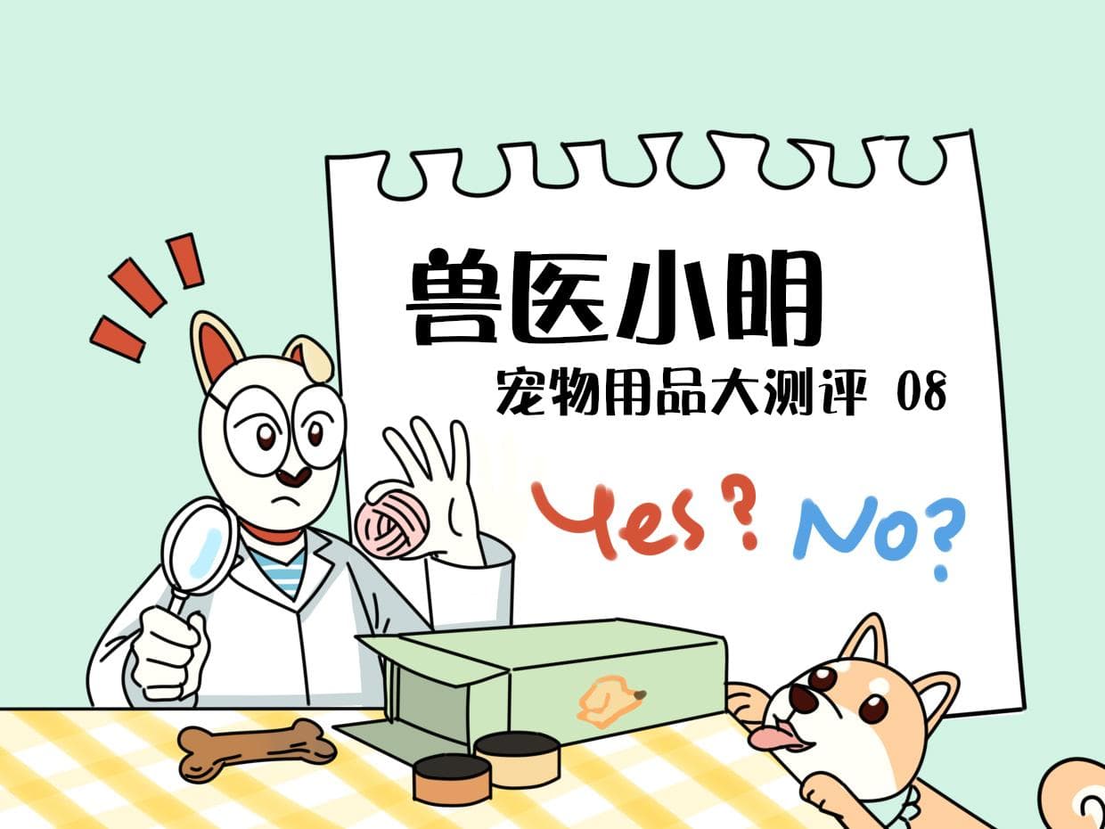 宠物除臭剂选购指南：三款主流产品测评及清洁技巧