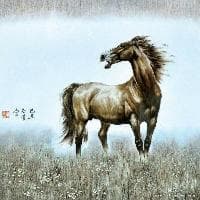 穆斯林为什么每天要做祷告