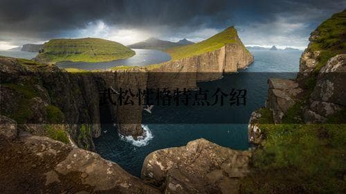 武松性格特点介绍
