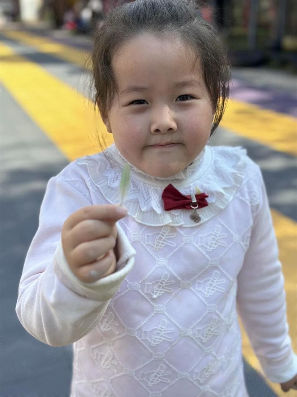 有趣！鹦鹉进幼儿园当“小老师”，它教了孩子们啥？