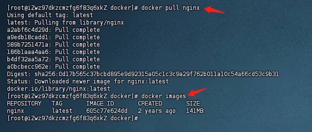 Docker部署前后端项目全流程
