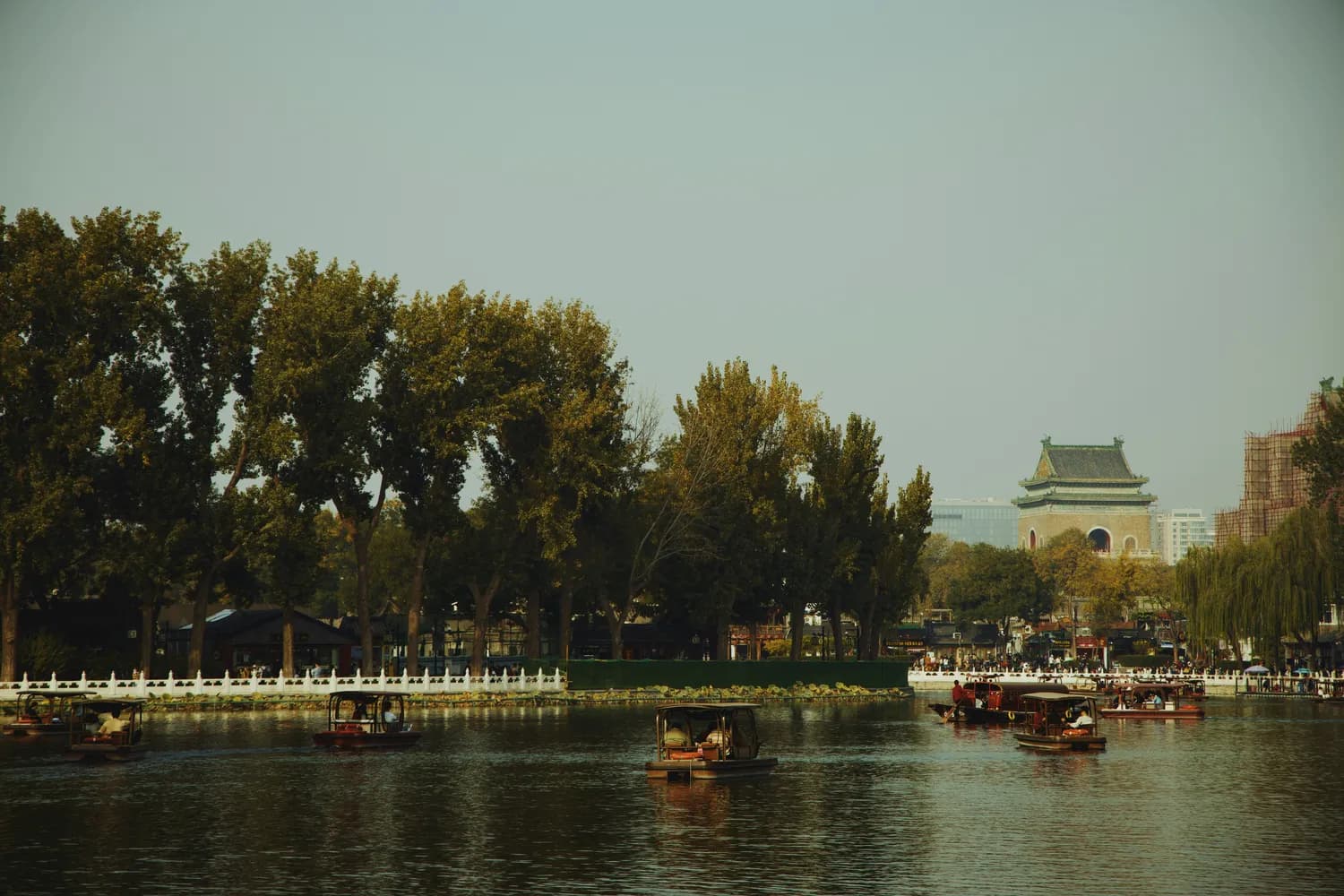 大明湖畔的夏雨荷：一个虚构的传奇与真实的文化传承