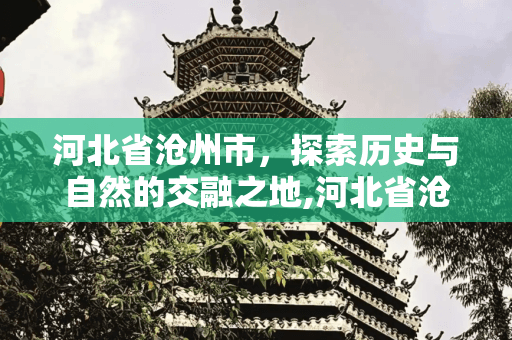 河北省沧州市，探索历史与自然的交融之地