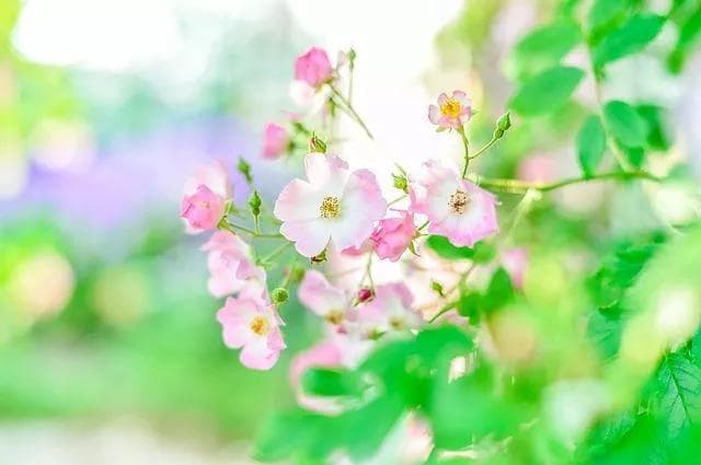 炒茄子：直接炒是大忌！30年保姆教你正确的做法，茄子清爽不油腻
