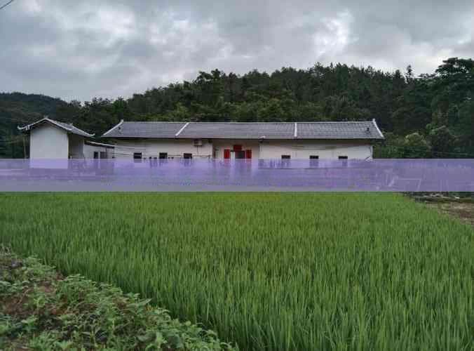 海南三亚海景精选：探寻三亚必游观海胜地推荐