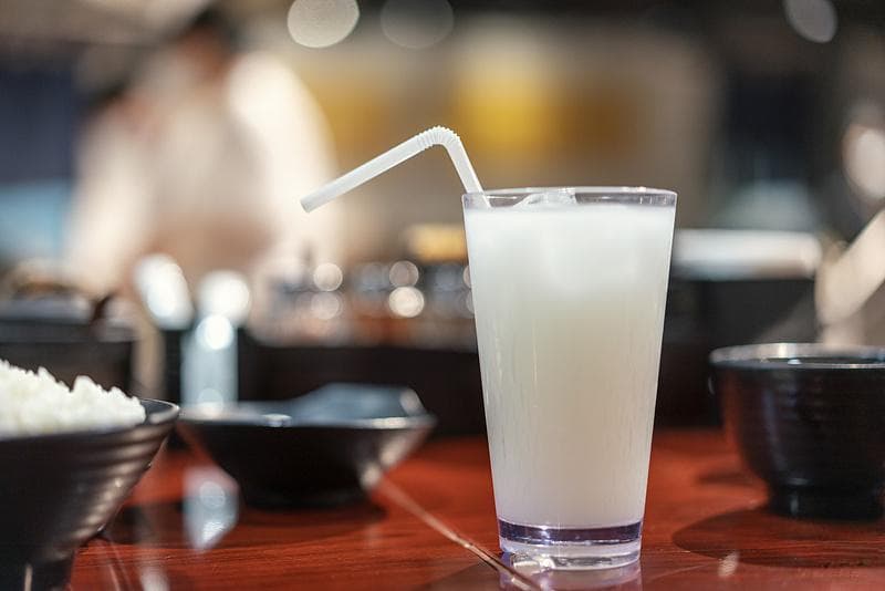 科技名词|乳酸菌 lactic acid bacteria