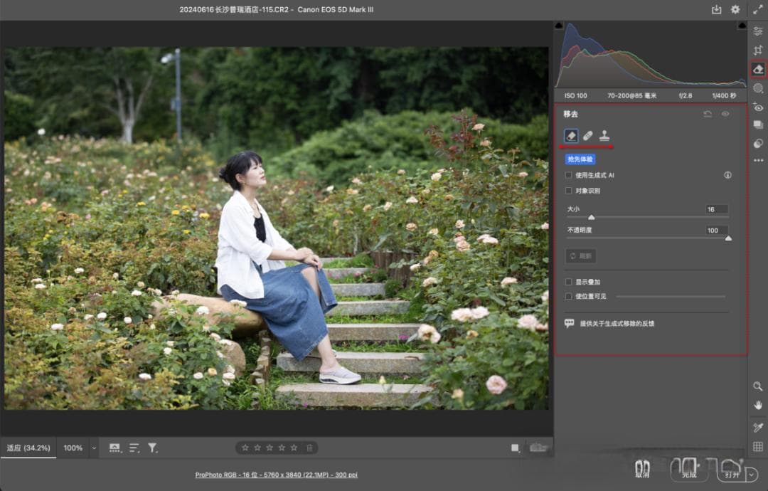 Camera Raw：移去工具使用指南