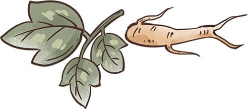 中医治疗食管癌的前沿探索：《食管癌方证研究分子基础解析》新书发布