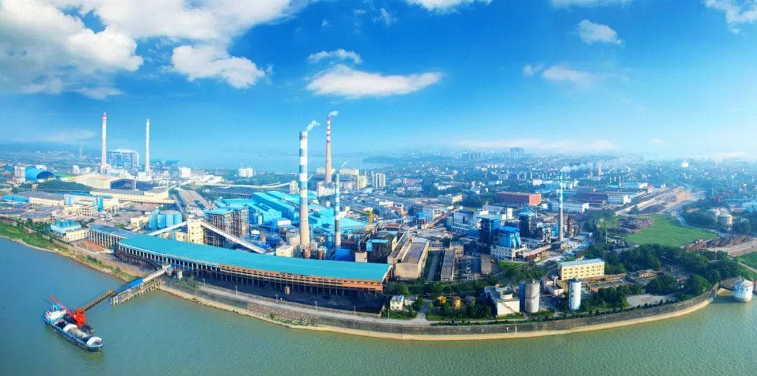 中国纸业：向“造纸术”要新质生产力