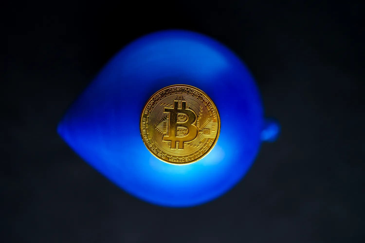 理财小白的财富自由之路：从入门到精通