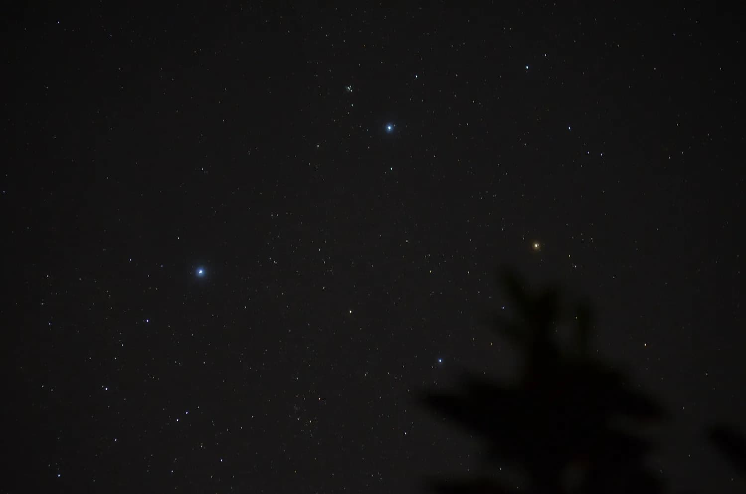 黄道十二星座的航海秘密：从导航明星到文化传承